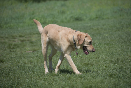 20250511_Dog park and squirrel__DSC0045_.jpg