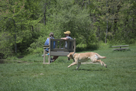 20250511_Dog park and squirrel__DSC0056_.jpg