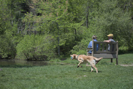 20250511_Dog park and squirrel__DSC0057_.jpg