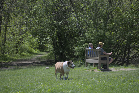 20250511_Dog park and squirrel__DSC0062_.jpg