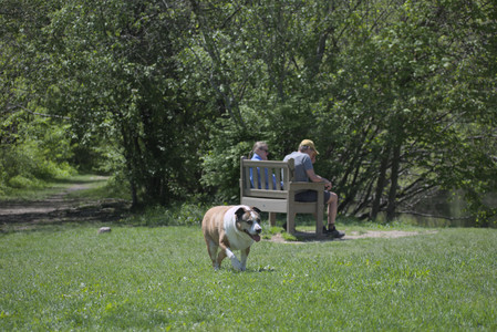 20250511_Dog park and squirrel__DSC0065_.jpg