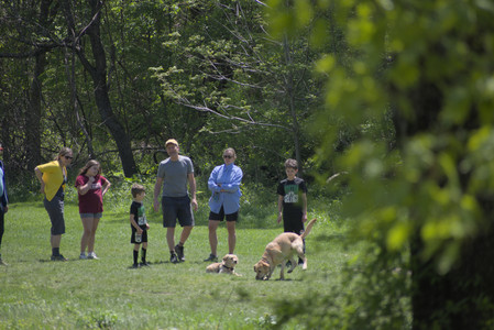 20250511_Dog park and squirrel__DSC0105_.jpg