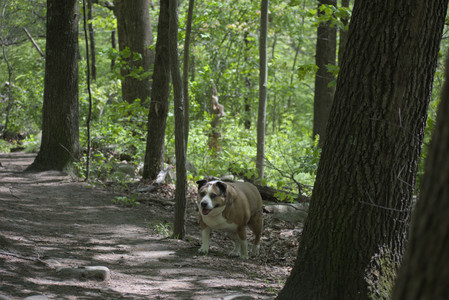 20250511_Dog park and squirrel__DSC0113_.jpg