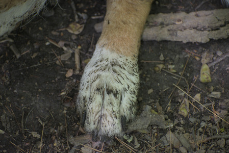 20250511_Dog park and squirrel__DSC0208_.jpg