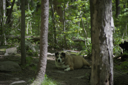 20250511_Dog park and squirrel__DSC0273_.jpg