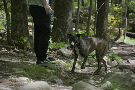 20250511_Dog park and squirrel__DSC0294_.jpg