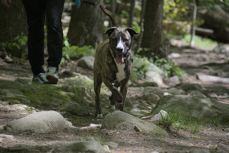 20250511_Dog park and squirrel__DSC0300_.jpg