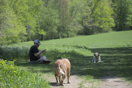 20250511_Dog park and squirrel__DSC0326_.jpg