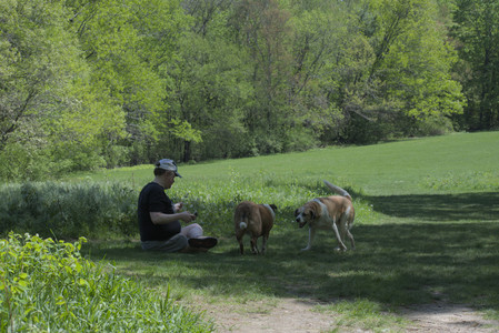20250511_Dog park and squirrel__DSC0327_.jpg