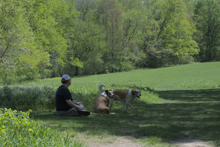 20250511_Dog park and squirrel__DSC0332_.jpg