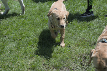 20250511_Dog park and squirrel__DSC0336_.jpg