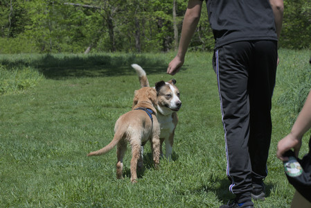 20250511_Dog park and squirrel__DSC0339_.jpg