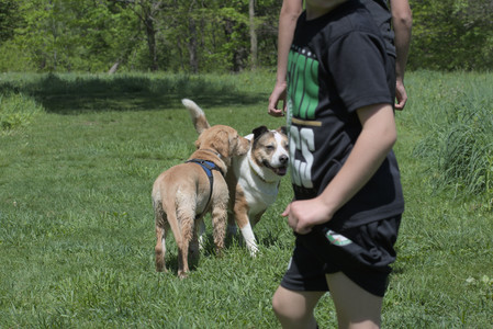 20250511_Dog park and squirrel__DSC0341_.jpg