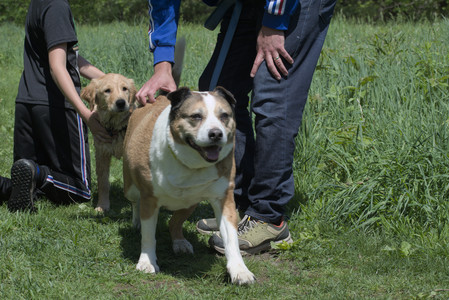 20250511_Dog park and squirrel__DSC0342_.jpg