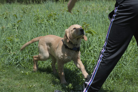 20250511_Dog park and squirrel__DSC0344_.jpg