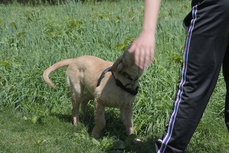 20250511_Dog park and squirrel__DSC0345_.jpg