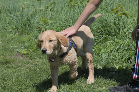 20250511_Dog park and squirrel__DSC0349_.jpg