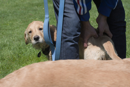 20250511_Dog park and squirrel__DSC0351_.jpg