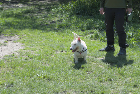 20250511_Dog park and squirrel__DSC0360_.jpg