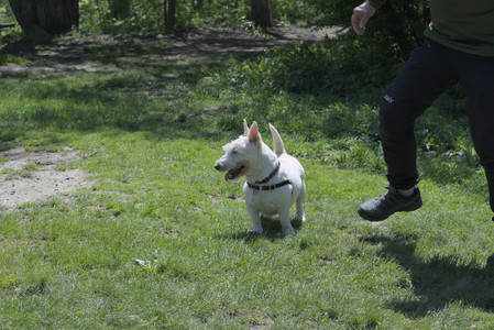 20250511_Dog park and squirrel__DSC0366_.jpg