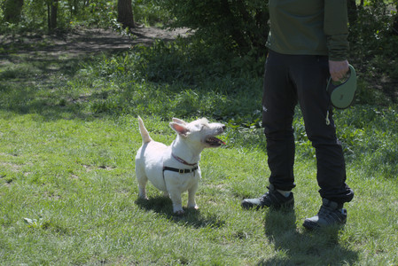 20250511_Dog park and squirrel__DSC0371_.jpg