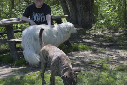 20250511_Dog park and squirrel__DSC0385_.jpg