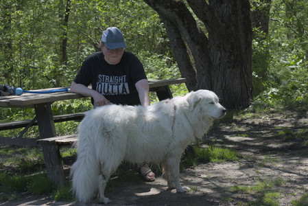 20250511_Dog park and squirrel__DSC0397_.jpg