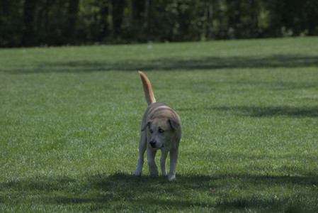 20250511_Dog park and squirrel__DSC0405_.jpg