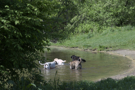 20250511_Dog park and squirrel__DSC0453_.jpg