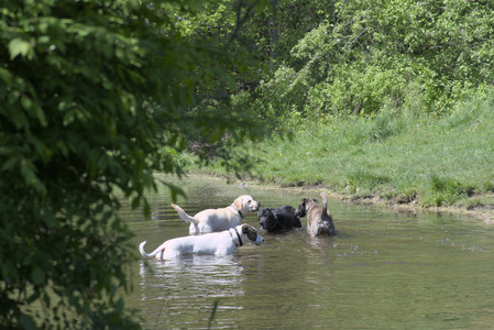 20250511_Dog park and squirrel__DSC0461_.jpg