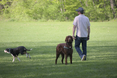 20250513_Dog park with Imby and Brogan__DSC0084_.jpg
