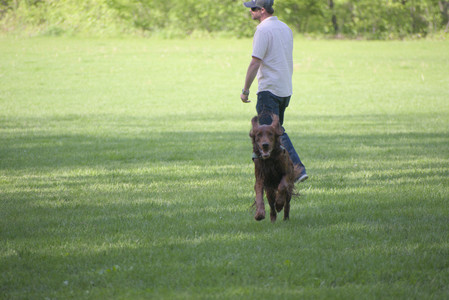 20250513_Dog park with Imby and Brogan__DSC0087_.jpg