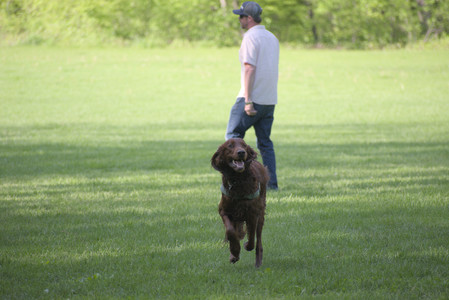 20250513_Dog park with Imby and Brogan__DSC0091_.jpg