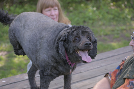 20250513_Dog park with Imby and Brogan__DSC0102_.jpg
