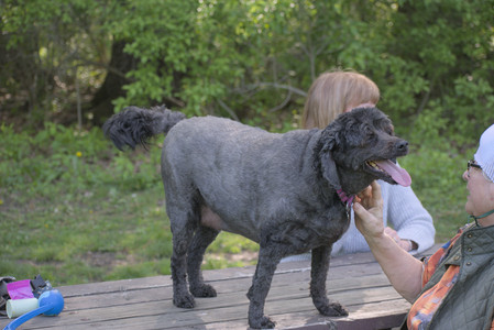 20250513_Dog park with Imby and Brogan__DSC0104_.jpg