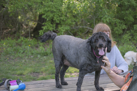 20250513_Dog park with Imby and Brogan__DSC0106_.jpg