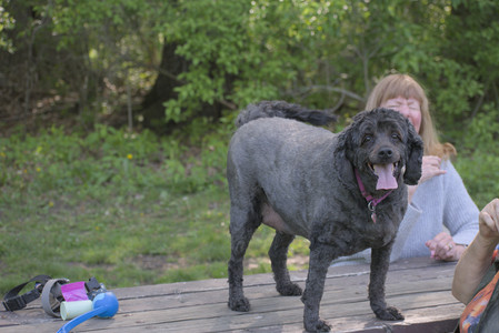 20250513_Dog park with Imby and Brogan__DSC0109_.jpg
