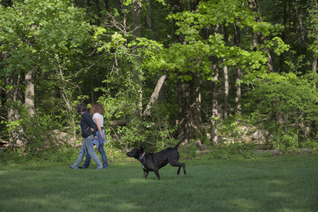 20250513_Dog park with Imby and Brogan__DSC0149_.jpg