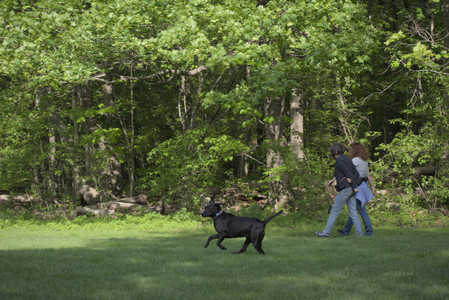 20250513_Dog park with Imby and Brogan__DSC0152_.jpg