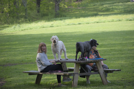 20250513_Dog park with Imby and Brogan__DSC0160_.jpg