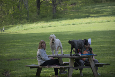 20250513_Dog park with Imby and Brogan__DSC0162_.jpg