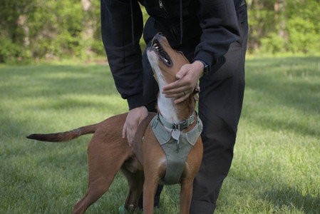 20250513_Dog park with Imby and Brogan__DSC0170_.jpg