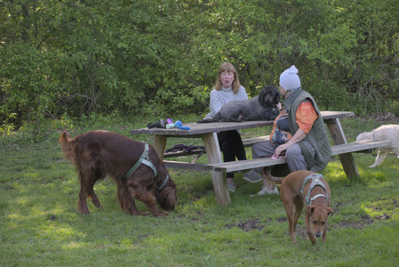 20250513_Dog park with Imby and Brogan__DSC0176_.jpg