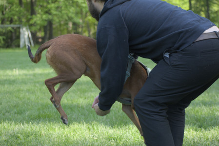 20250513_Dog park with Imby and Brogan__DSC0182_.jpg