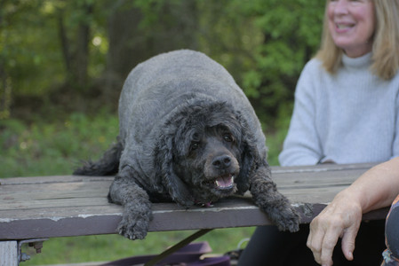 20250513_Dog park with Imby and Brogan__DSC0190_.jpg