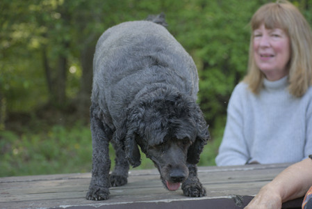 20250513_Dog park with Imby and Brogan__DSC0192_.jpg