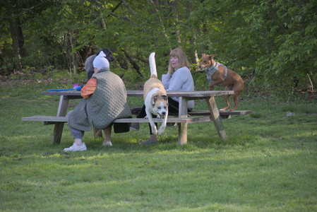 20250513_Dog park with Imby and Brogan__DSC0202_.jpg