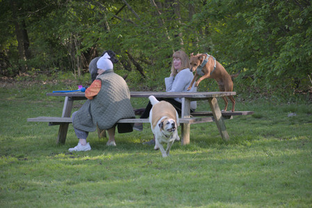 20250513_Dog park with Imby and Brogan__DSC0203_.jpg