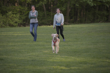 20250513_Dog park with Imby and Brogan__DSC0425_.jpg