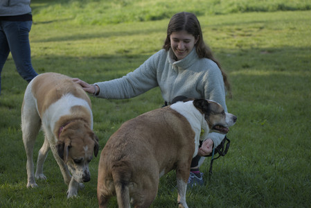 20250513_Dog park with Imby and Brogan__DSC0441_.jpg